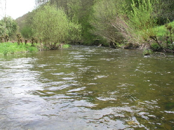 �bersicht Ruwer 27042008-680