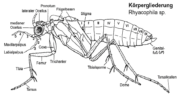 Terminologie-IM-0102 Terminologie-IM-0102