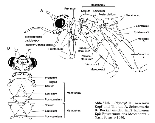 Terminologie-IM-0402 Terminologie-IM-0402