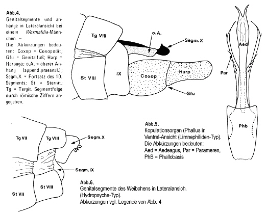 Terminologie-IM-0502 Terminologie-IM-0502
